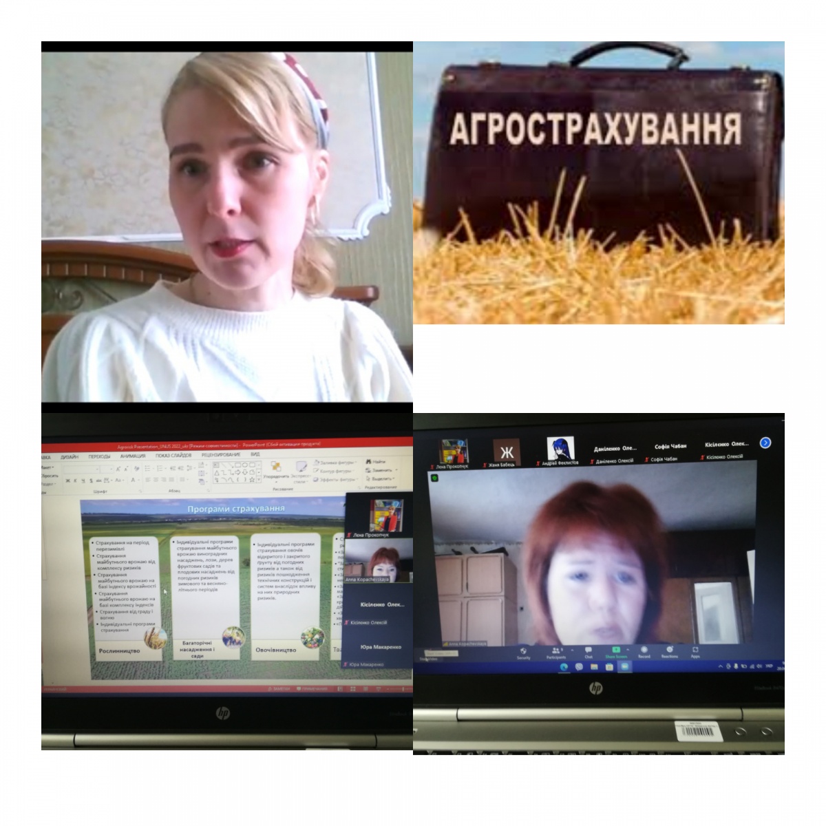 Практичними прикладами про теоретичні постулати агрострахової справи